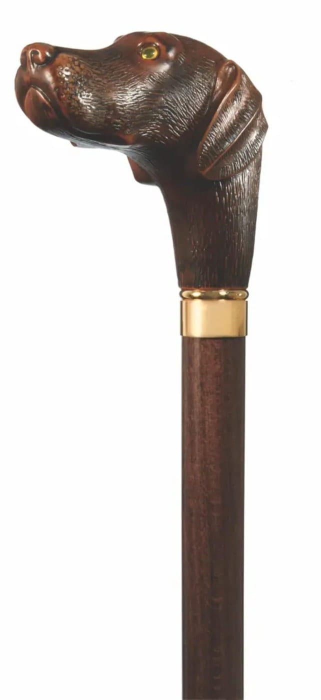 Brownie Chocolate Lab Walking Cane